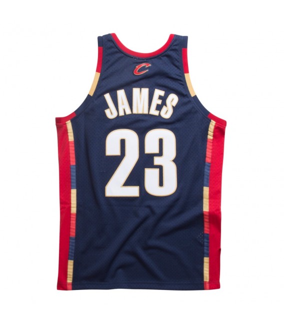 lebron james jersey 2009