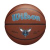 Ballon Wilson Team Alliance Charlotte Hornets