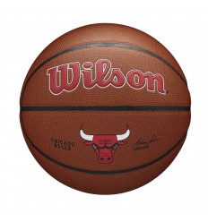 Ballon Wilson Team Alliance Chicago Bulls