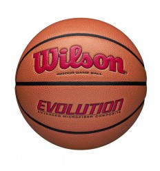 Ballon de Basket Wilson...