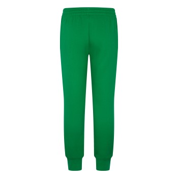 Pantalon Jordan Jumpman Sustainable vert Junior