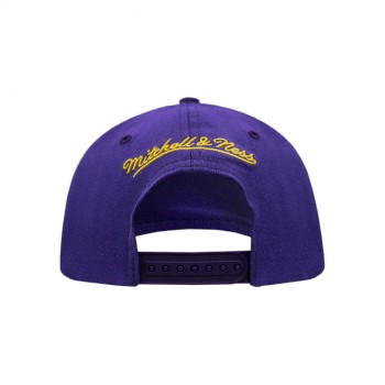 Casquette Los Angeles Lakers Team 2 Tone Stretch Mitchell and Ness