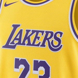 Maillot NBA Lebron James Los Angeles Lakers Nike Icon Edition