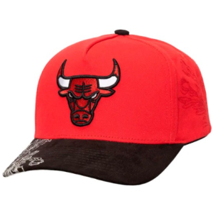 Casquette NBA May Flowers Pro Chicago Bulls