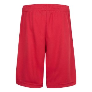 Short Jordan Mesh rouge Enfant Short Jordan Mesh rouge Enfant