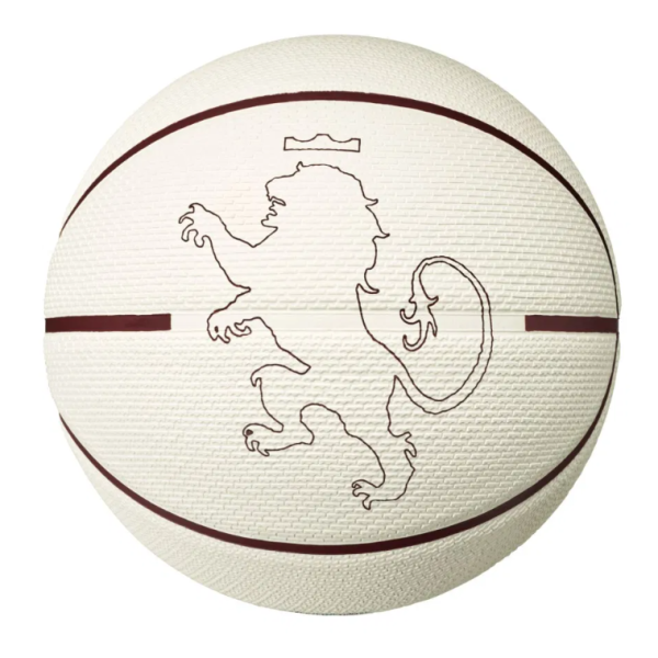 Ballon Nike Playground Lebron James Blanc