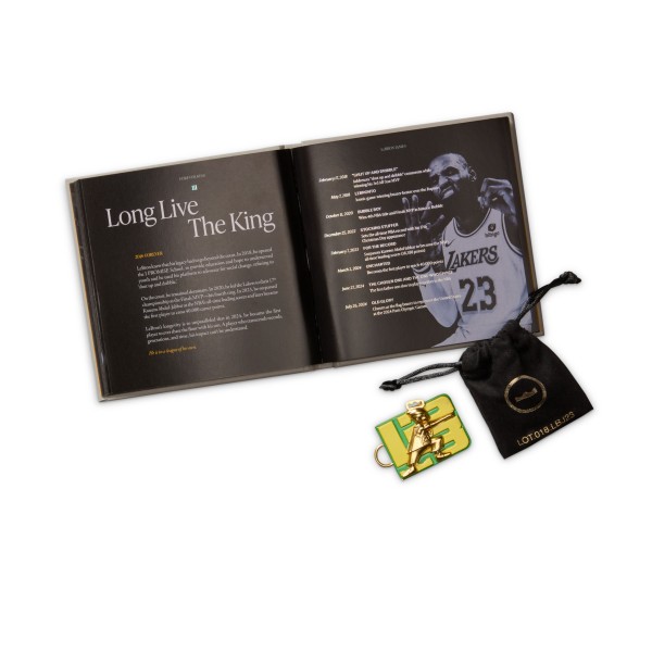 LeBron XXIII "From This Point Forward"