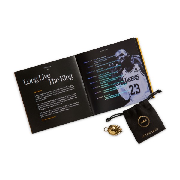 Nike LeBron 23 Out For Redemption