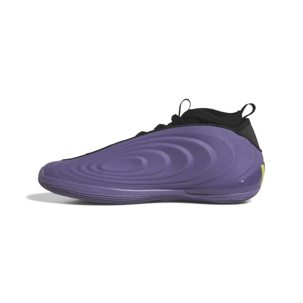 Adidas Harden 10 Tech Purple
