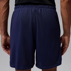 Short Jordan Mesh GFX navy