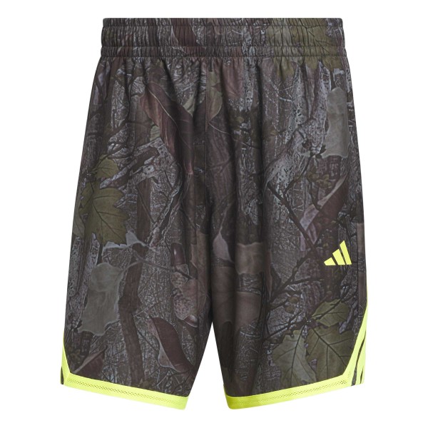 Short Adidas Crazylight Camo