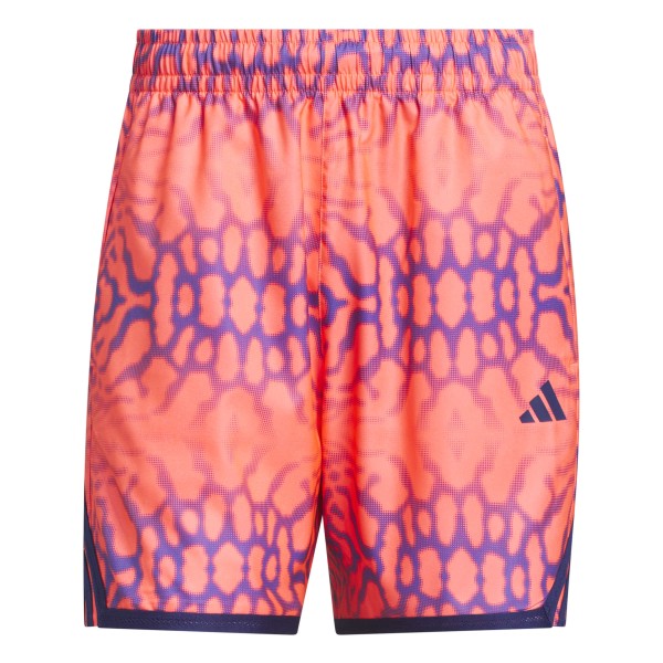 Short Adidas Crazylight Graph