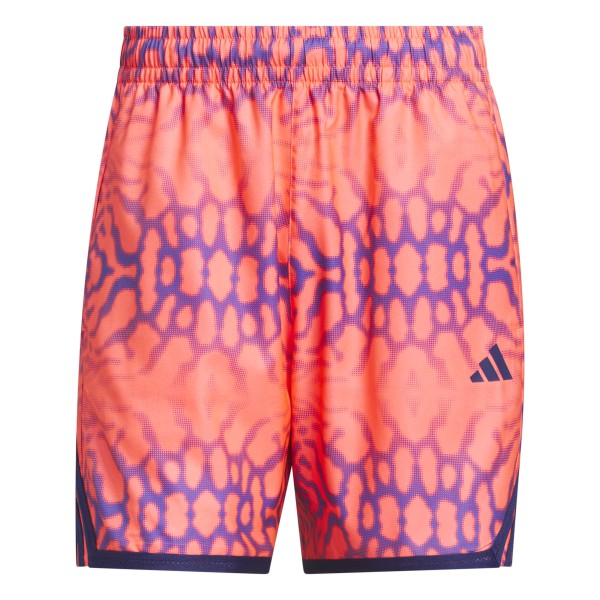 Short Adidas Crazylight Graph